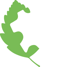 MEMBER OF LEATTHER WORKING GROUP